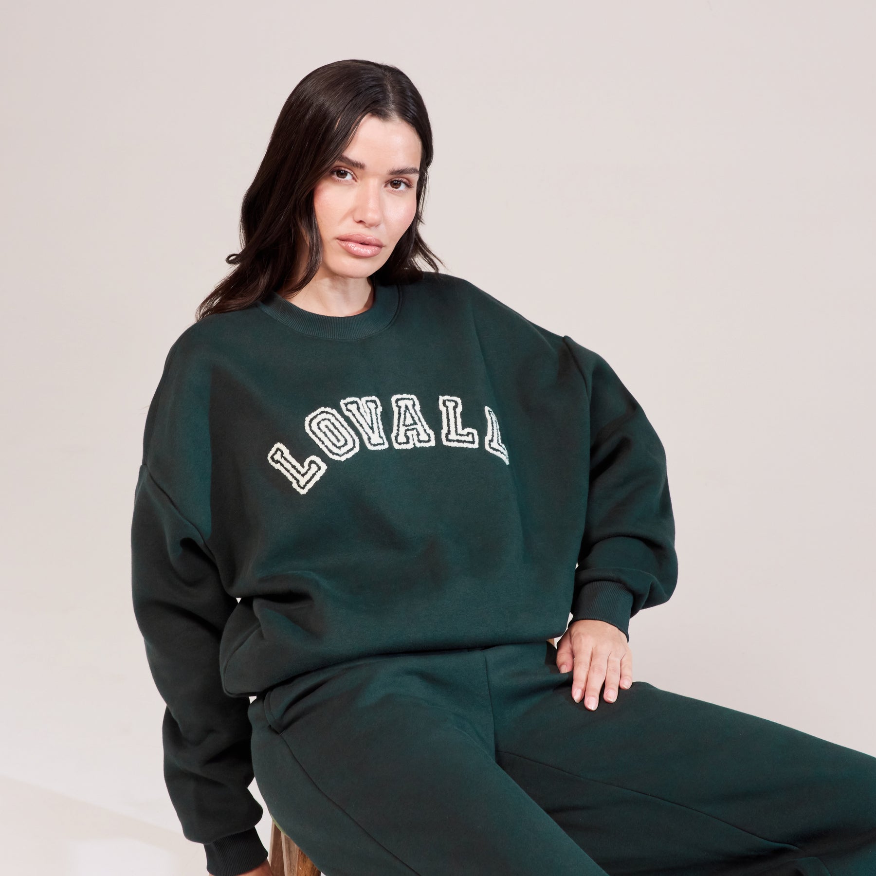 Sweat-shirt Oversize Épais Campus - Pin